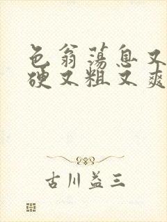 色翁荡息又大又硬又粗又爽电影