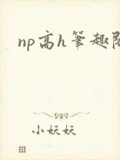 np高h笔趣阁