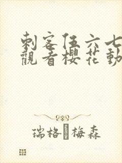 刺客伍六七免费观看樱花动漫封面