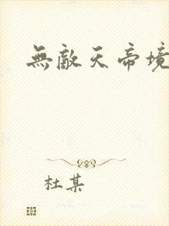 无敌天帝境界封面