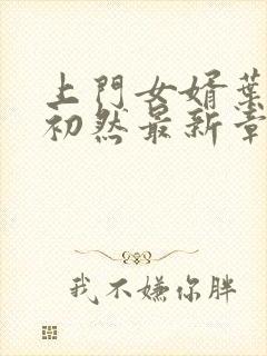 上门女婿叶辰萧初然最新章节