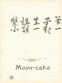 双性生子笔趣阁小说一对一