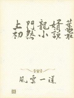 上门龙婿叶辰萧初然小说最新章节