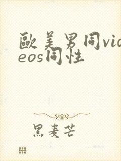 欧美男同videos同性