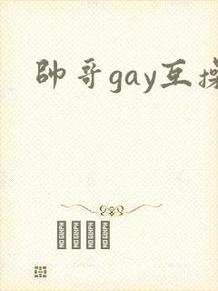 帅哥gay互操
