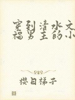 穿到清水文里造福男主的小说