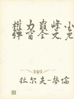 权力巅峰小说无弹窗全文免费阅读封面