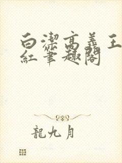 白洁高义王申美红笔趣阁封面