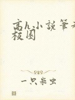 高h小说笔趣阁校园封面