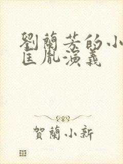 刘兰芳的小说赵匡胤演义