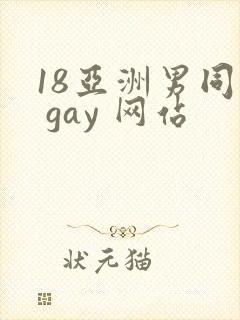 18亚洲男同志 gay 网站封面