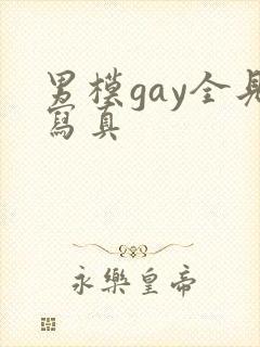 男模gay全见写真