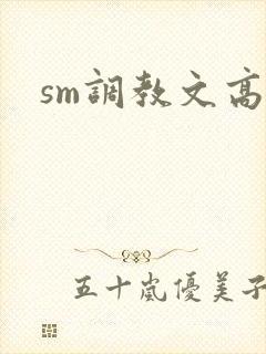 sm调教文高h