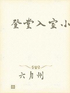 登堂入室小说