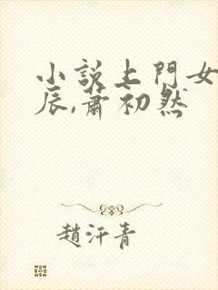 小说上门女婿叶辰,萧初然