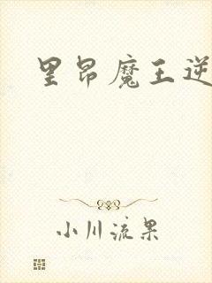 里昂魔王逆谋封面