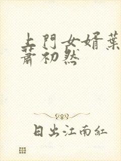 上门女婿叶辰和萧初然封面