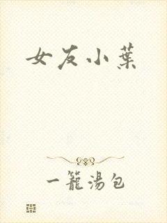 女友小叶
