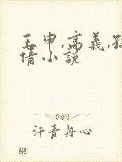 王申,高义,孙倩小说