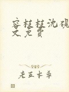 容枝枝沈砚书全文免费