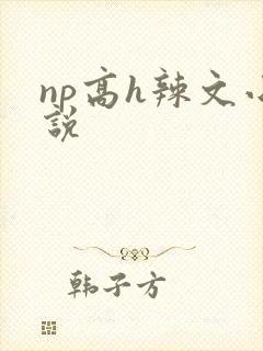 np高h辣文小说