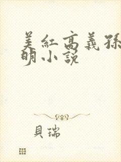 美红高义孙倩家明小说
