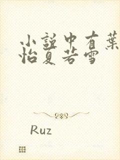 小说中有叶辰孙怡夏若雪封面