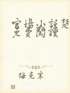 官场小说楚东恒免费阅读