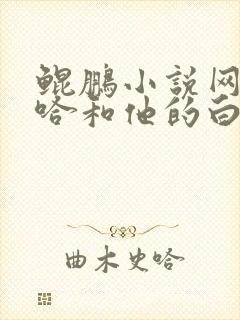 鲲鹏小说网站二哈和他的白猫师尊