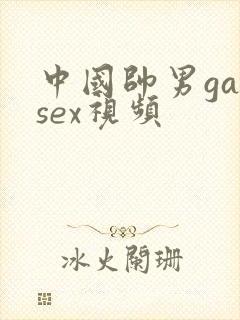 中国帅男gaysex视频