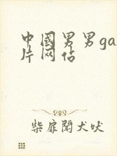 中国男男gay片网站