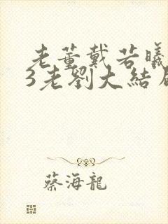 老董戴若曦番外3老刘大结局封面