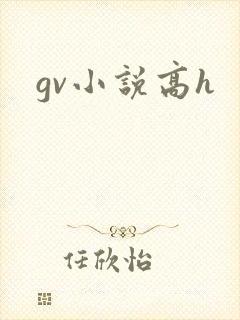 gv小说高h
