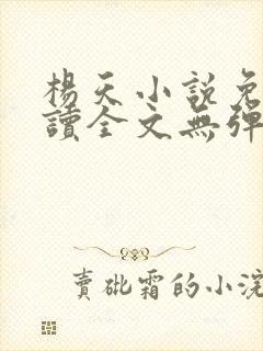 杨天小说免费阅读全文无弹窗