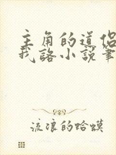 主角的道侣都归我咯小说笔趣阁