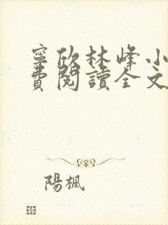 宁欣林峰小说免费阅读全文无弹窗封面