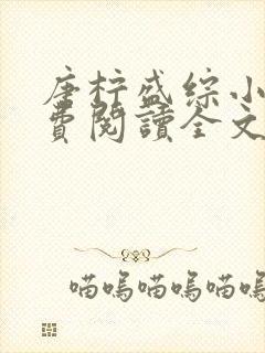 唐柠盛综小说免费阅读全文最新章节封面