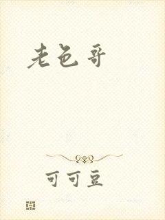 老色哥封面