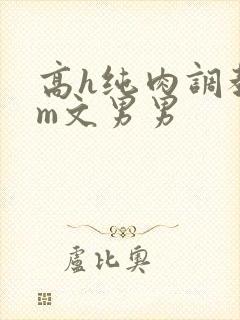 高h纯肉调教sm文男男