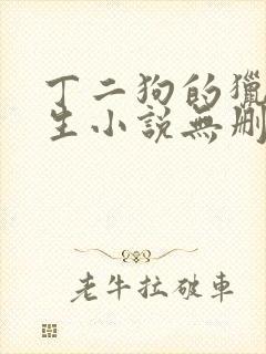 丁二狗的猎艳人生小说无删减小说