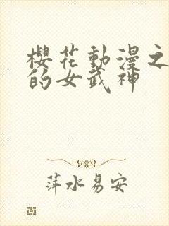 樱花动漫之终末的女武神封面