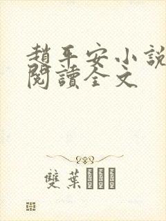 赵平安小说免费阅读全文封面