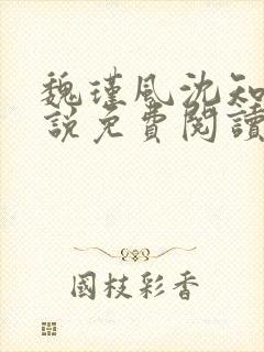 魏瑾风沈知玉小说免费阅读最新章节