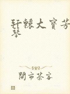 轩辕大宝芳菲雅琴