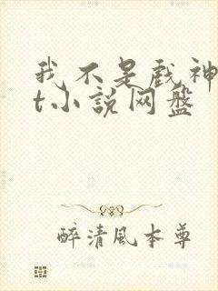 我不是戏神txt小说网盘