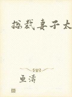 总裁妻子太诱人