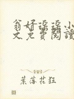 翁婿瑶瑶小说全文免费阅读最新章节封面