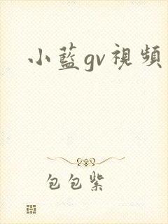 小蓝gv视频