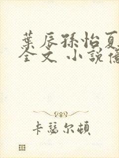 叶辰孙怡夏若雪全文 小说亿软封面