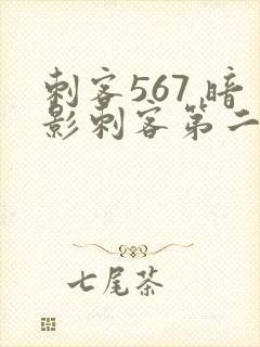 刺客567 暗影刺客第二季免费观看